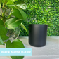 Custom Candle Order - Black Matte 11.8 oz