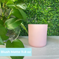 Custom Candle Order - Blush Matte 11.8 oz