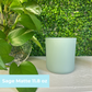 Custom Candle Order - Sage Matte 11.8 oz